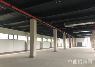 臨港金山先進(jìn)制造業(yè)基地三期金山多層廠房出租 可環(huán)平可分割104 C3 1F