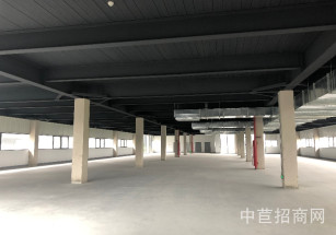 臨港金山先進(jìn)制造業(yè)基地三期金山多層廠房出租 可環(huán)平可分割104 C5 2/3/4/5F