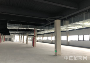 臨港金山先進(jìn)制造業(yè)基地三期金山多層廠房出租 可環(huán)平可分割104 C6 1F