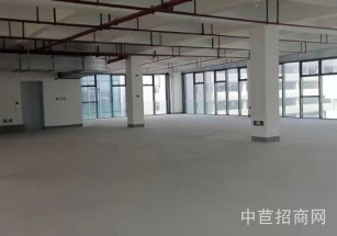 臨港松江新城（中山）科技園松江獨棟廠房出售 104可環(huán)平可有產(chǎn)證#3