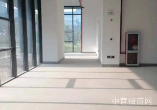 臨港松江新城（中山）科技園松江獨棟廠房出售 104可環(huán)平可有產(chǎn)證#4#5