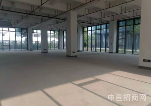 臨港松江新城（中山）科技園松江獨棟廠房出租#3 501 104可環平可有產證