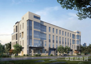  浙江長三角生命健康產業園平湖市獨棟廠房出售 產權五十年 兩層一樓11米