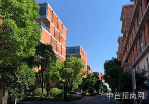 名企公館?漕河涇開發區松江區辦公研發廠房分層出售 戶型C