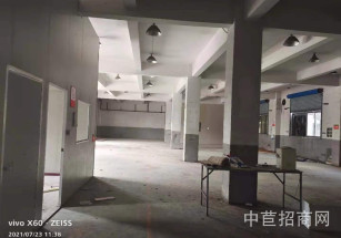 西渡新民港路899號西渡5000平廠房直租，近地鐵，底樓6米