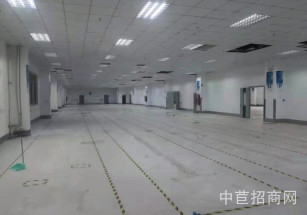 漢津智慧谷104板塊，莘莊工業區可分割雙層廠房出租，200起分