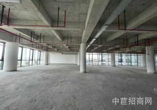  浦江智慧廣場(chǎng)浦江獨(dú)棟廠房出租 面積可分割研發(fā)辦公