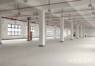 青浦香花橋104板塊，多層廠房出租，獨立貨梯，丙類消防，無稅收要求