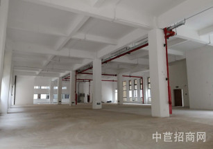 雷冠·東方美谷雷冠美谷花園式750平，104地塊可環評，貨梯2噸