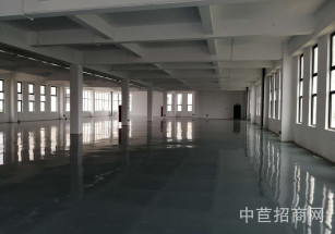 雷冠·東方美谷雷冠美谷2500平雙層獨棟，一層高9米，104地塊，貨梯大