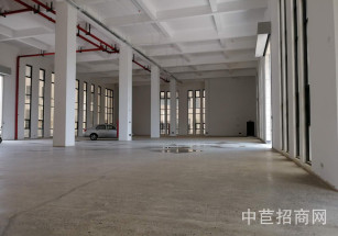 雷冠·東方美谷雷冠美谷整層1120平，層高9米，104地塊可環評，可分割