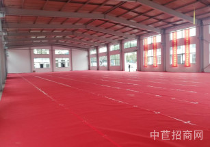 屺盛科創園嘉定馬路 獨門獨院廠房火爆招租 大空地 主干道可籃球體育類