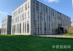 金地虹橋科創園泗涇，104板塊，可環評，園區直招，對接政府小面積
