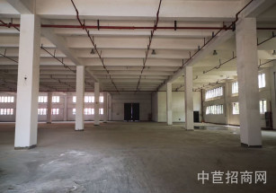 圣御工業總部園圣御工業園1000平廠房，層高6.9米，3T貨梯，可環評