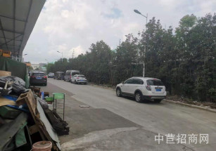 九亭滄涇路項目北九亭，2樓廠房出租，1400平，可分割，貨梯2噸