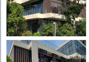 金領谷?中興智匯