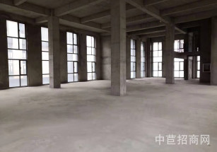 平謙國際太倉現代產業園太倉多層廠房出租 分層出租可加行車