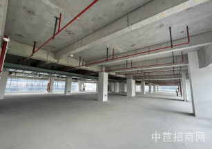 平謙國際太倉現代產業園太倉多層廠房分層出租 有牛角可加行車