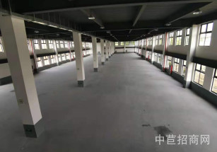 奉賢林海公路五層獨棟出租奉賢整層1000平，104地塊可環評，靠近繞城高速