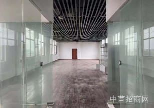 新場申江南路項目小面積，可做展廳賣場 一樓沿街廠房