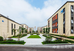 松江九亭鎮機械設備獨棟廠房出售 可辦公可生產獨棟廠房出售