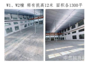 普陀層高7.5米廠房出售獨門獨院多層租金低 公攤少 空地大