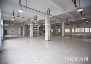 閔行層高9米廠房出售獨院廠房單層近地鐵近高架