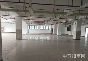 崇明層高9米廠房出售獨院獨棟大平層 公攤低 精裝修