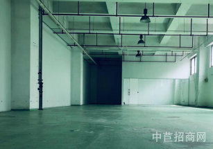 普陀磚混結構廠房出售大小面積可分割