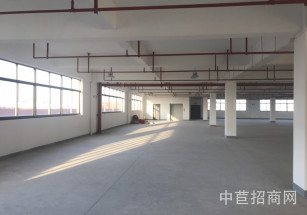 百色市田陽區百色市田陽區廠房出售