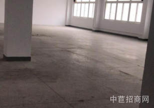 虹口層高9米廠房出售獨門獨院大平層 面積可分 租金低