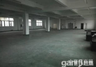 外高橋自貿區廠房超低價個人出租