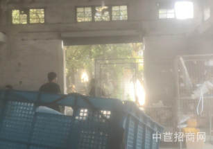 楊浦區電商廠房出租