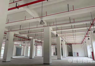 徐匯廠房出售獨院獨棟近高速路口稀少可環評廠房 面積可分