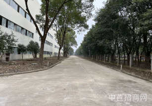 上海虹口廠房出租鋼混結構園區有政策紅利 人才補貼超長免租期近水路 產權清晰