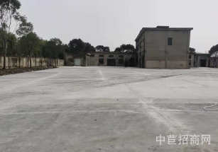 嘉定框架結構 廠房出售租金超低 適合各類無污染企業