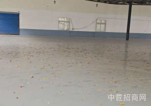 閔行廠房出售標(biāo)準(zhǔn)廠房可環(huán)評(píng)近高架知名物業(yè) 形象好 配套食堂便利店等