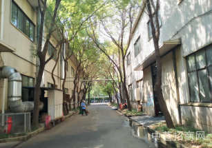 許昌市鄢陵縣許昌市鄢陵縣廠房出售