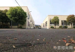 閔行廠房出售獨院獨棟交通方便房屋產權清晰承重2噸面積可分割