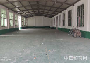 金山層高12米廠房出售獨院獨棟雙層 稀少可環評廠房 面積可分割