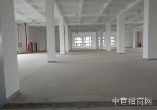 松江層高5-9米廠房出售獨院廠房單層面積可分割 核心位置