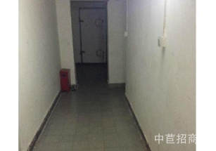 恩施土家族苗族自治州來鳳縣恩施土家族苗族自治州來鳳縣廠房出售