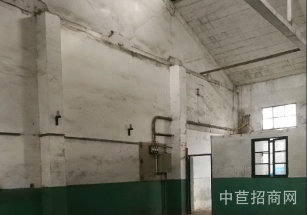 無(wú)稅收要求,原房東,無(wú)立柱青浦廠房出售,配電250KVA適合信息科技 行業(yè),可注冊(cè)