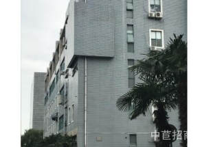 金山廠房出售標準廠房交通便利開發商一手房,無中間商賺差價