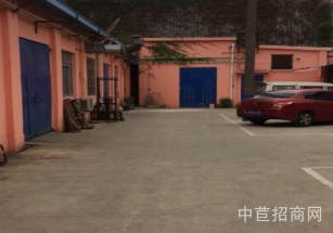 金山鋼結構 廠房出售租金超低 適合各類無污染企業