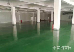南匯鋼結構 廠房出售大跨度，布局合理