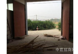 普洱市鎮沅彝族哈尼族拉祜族自治縣普洱市鎮沅彝族哈尼族拉祜族自治縣廠房出售