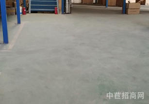 金山層高12米廠房出售獨門獨院一層送免費停車位 租金低大貨梯