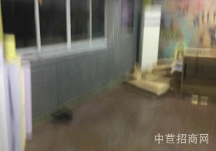 配套齊全楊浦廠房出售,配電150KVA適合醫(yī)療器械行業(yè),能注冊協(xié)助辦環(huán)評