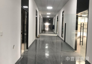 浦東新廠房出售獨門獨院可協助辦環評交通方便一手研發廠房出租，超長免租期